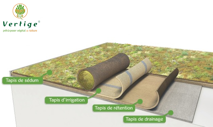 YS_0002_logo-vertige