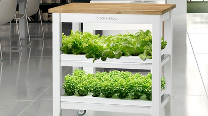 faire pousser des legumes